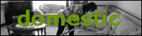 Domestic Cleaning Services